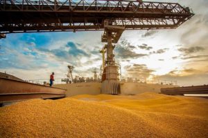‘Com custo alto, Brasil dificilmente deve importar milho dos EUA’