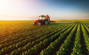Comércio exterior: receita do agronegócio cresce 25% em junho, diz CNA