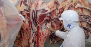 Importações brasileiras de carne bovina podem atingir o maior patamar em 22 anos