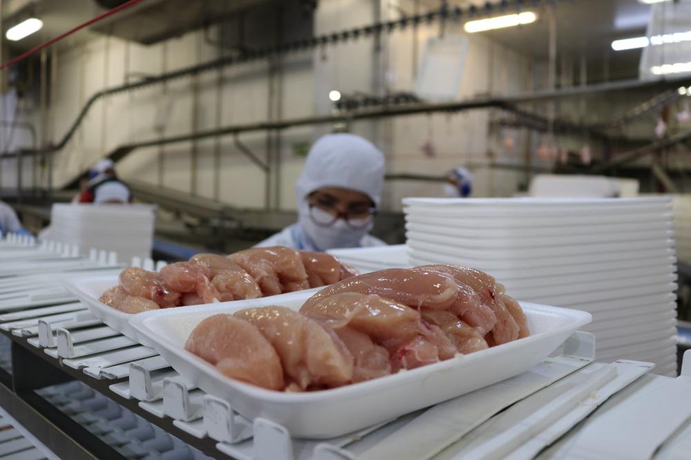 Nova cota do México para importação de carne de frango deve beneficiar o Brasil