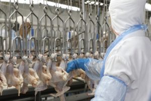 Nova cota do México para importação de carne de frango deve beneficiar o Brasil