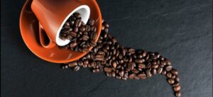 Importação de fertilizante afeta produção de café