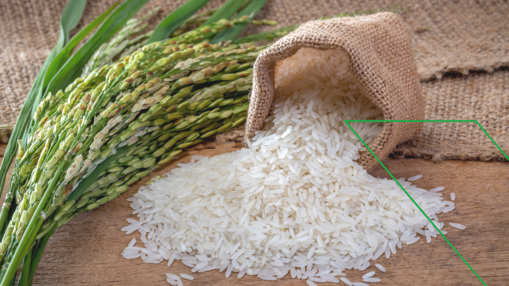 Importação de Arroz